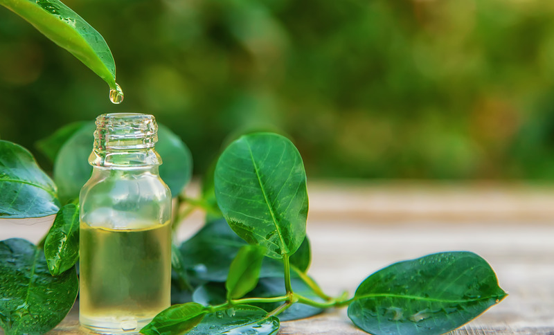 6 BENEFITS OF TEA TREE OIL FOR HAIR