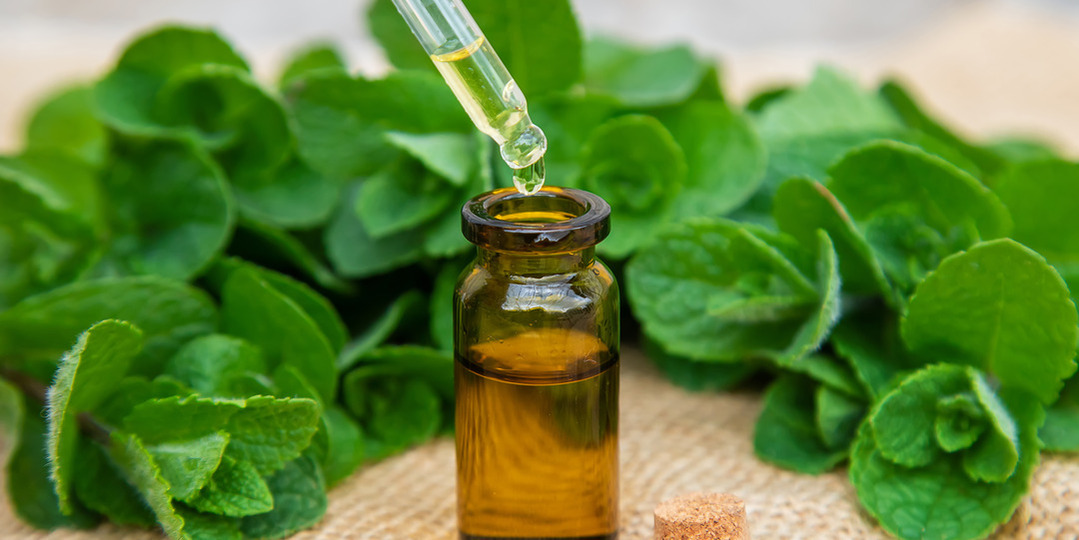 HOW TO USE PEPPERMINT OIL FOR HAIR GROWTH 